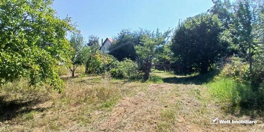 Casă individuală cu 3 camere cu Teren 1801 Mp în Comșești