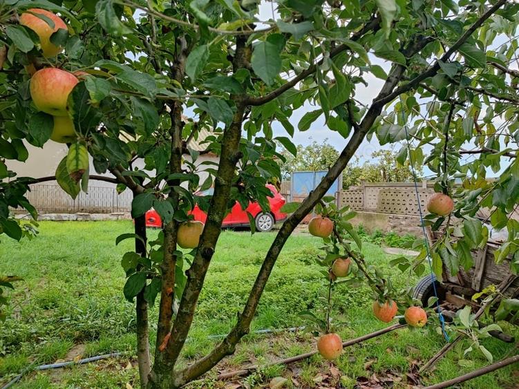 Casă în Zebil