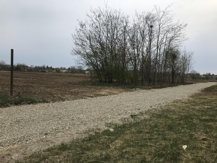 Teren Construcții intravilan de 600 mp, în Corbeanca