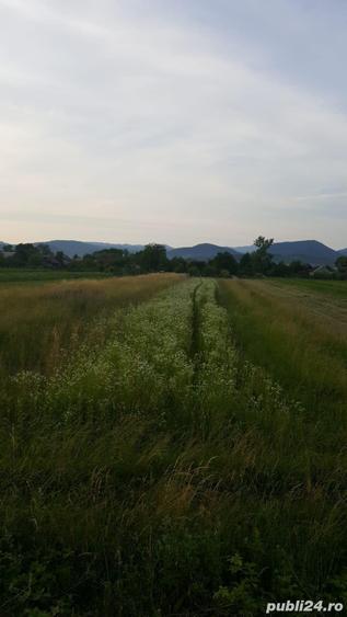 Teren de 1400 mp, în Săsar