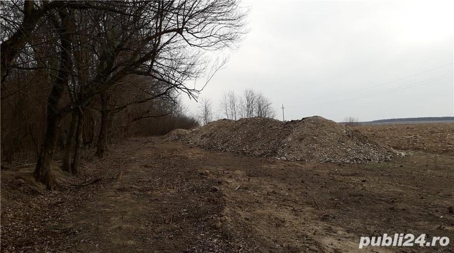Teren de 1000 mp, în Băile Felix