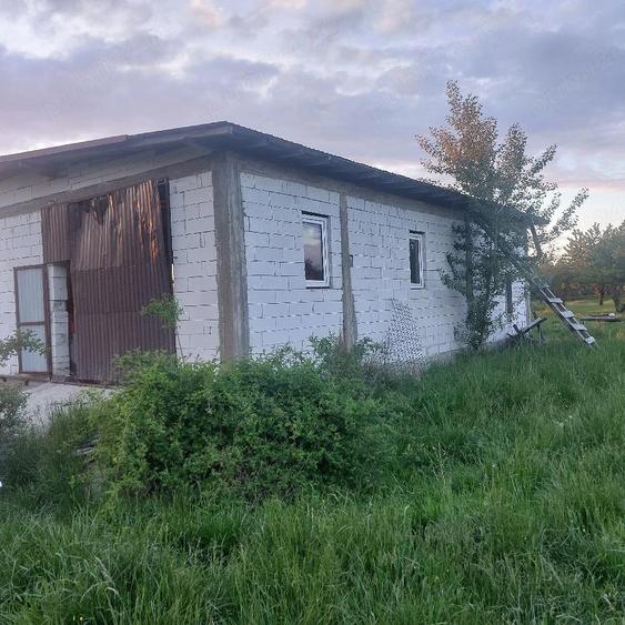 Vand casa la rosu - 3