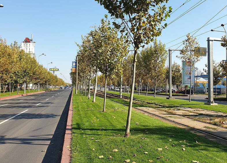 Birou, de 8,265 mp, în Theodor Pallady