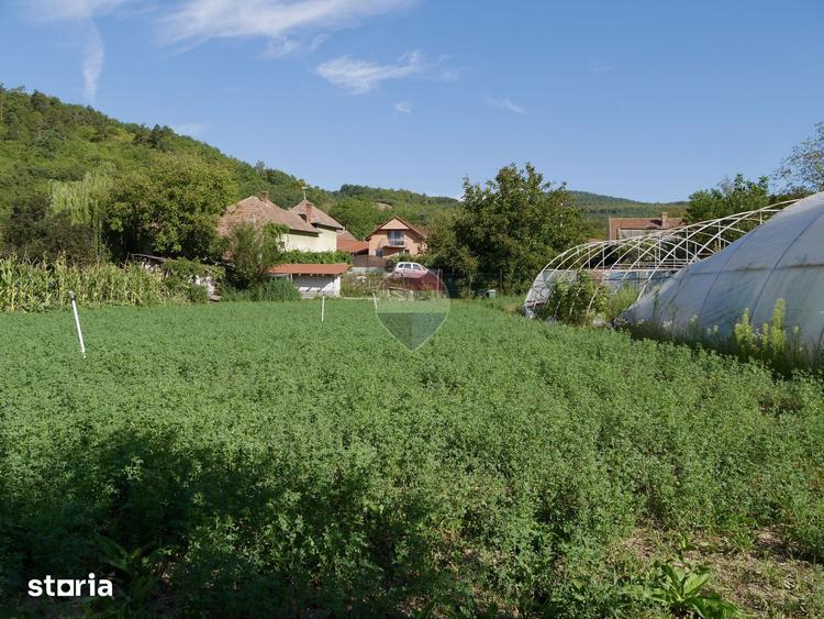 Casă cu 2 camere cu Teren 3003 Mp în Vințu de Jos