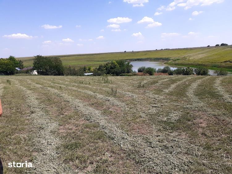 Teren de 8700 mp, în Belciugatele