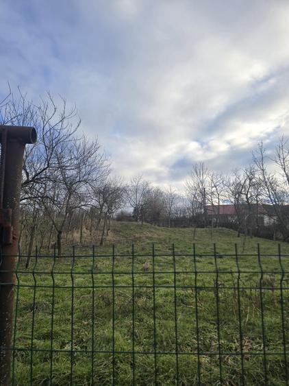 Casă cu 4 camere cu Teren 1000 Mp în Ciclova Română