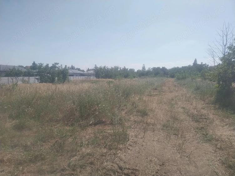 Teren de 450 mp, în Domnești