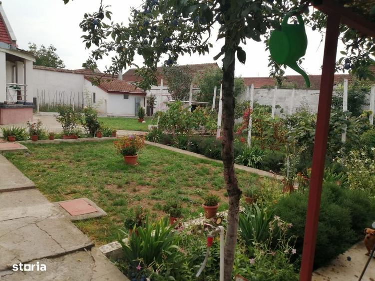 Casă cu 4 camere cu Teren 910 Mp în Central