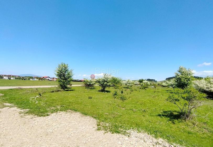 Teren Construcții intravilan de 1333 mp, în Sânpetru