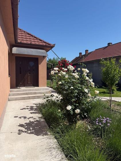 Casă cu 2 camere cu Teren 486 Mp în Central