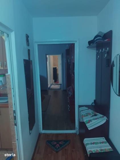 Apartament cu 2 camere în Broșteni