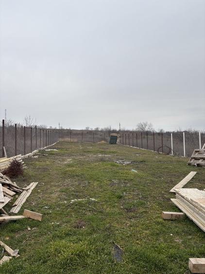 Casă cu 3 camere cu Teren 2900 Mp în Foltești