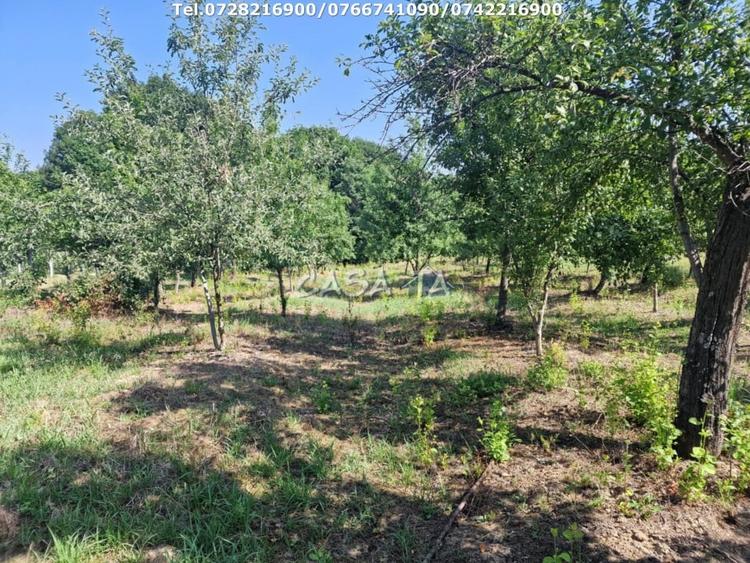 Casă individuală cu 3 camere cu Teren 4721 Mp în Dănești