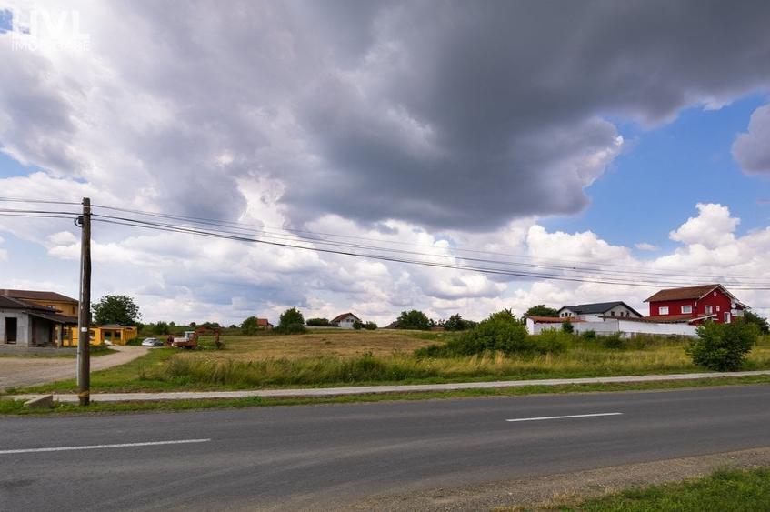 Teren Construcții intravilan de 2481 mp, în Zădăreni