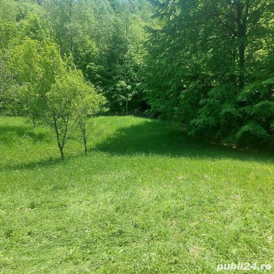 Teren de 7200 mp, în Secăria