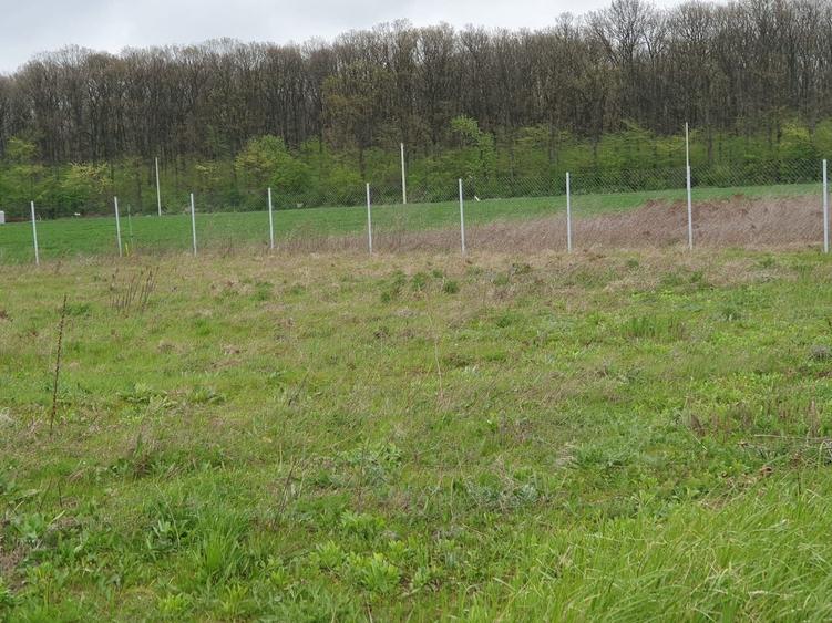 Teren Construcții intravilan de 1500 mp, în Snagov