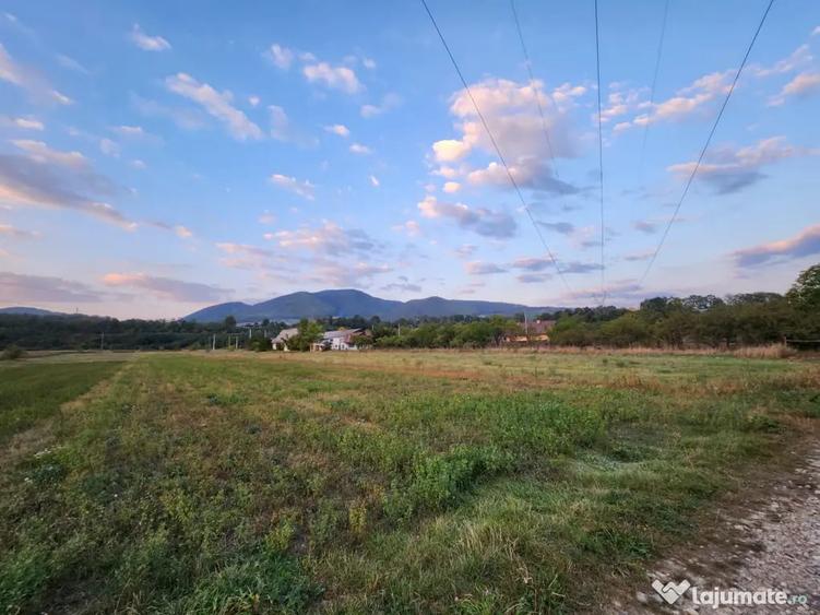 Teren în Alexandru cel Bun