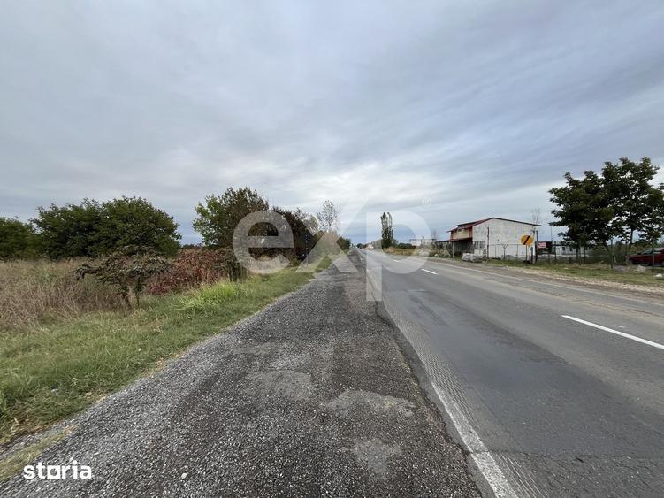 Teren de 15000 mp, în Sud