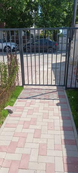 Casă cu 4 camere cu Canalizare în Theodor Pallady