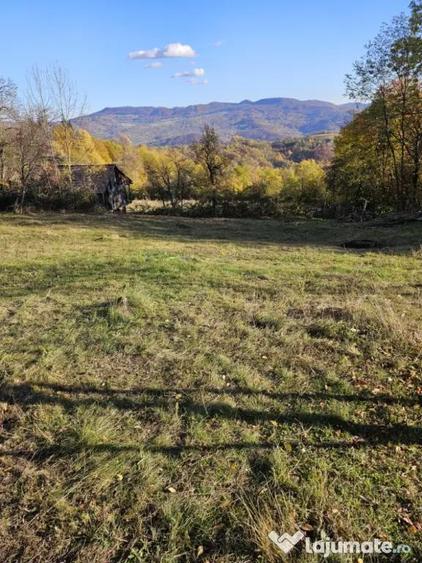 Loturi de vanzare! - 3