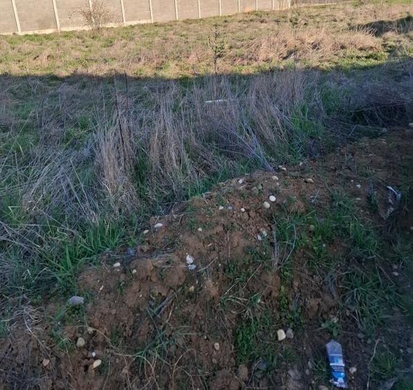 Teren Construcții intravilan de 700 mp, în Sânandrei