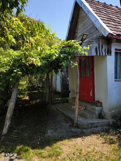 Teren de 4450 mp, în Central