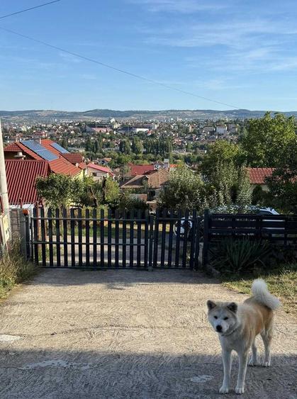 Apartament cu 2 camere în Dâmbul Rotund