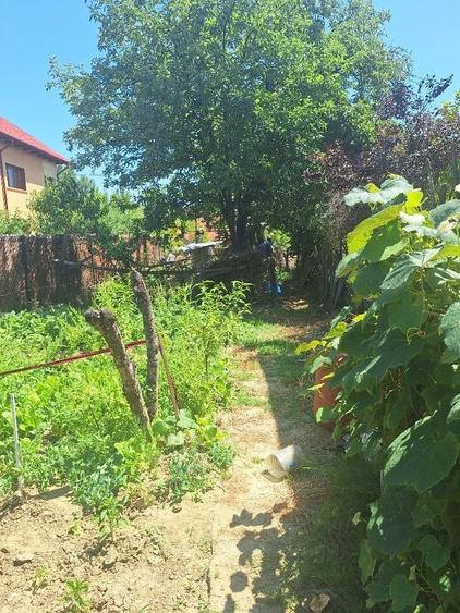 Casă cu 2 camere în Curtea de Argeș