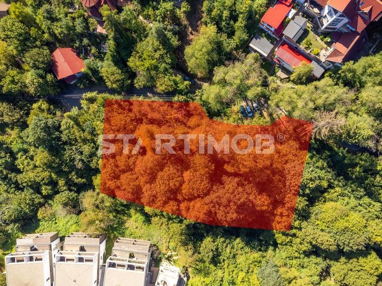 Teren Construcții intravilan de 2385 mp, în Schei