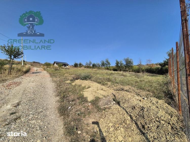 Teren de construit 722mp, 250m de strada asfaltata, Vladiceni-Tomesti - 6