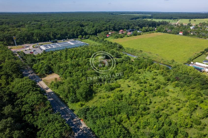 Teren Construcții intravilan de 5514 mp, în Snagov