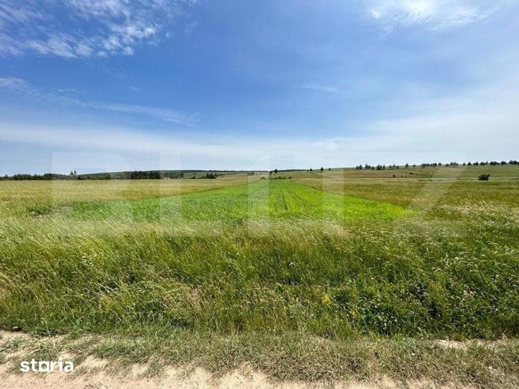 Teren de 8000 mp, în Mitocu Dragomirnei