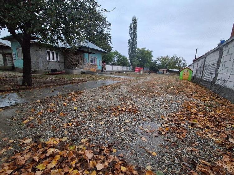 Casă cu Teren 1500 Mp în Orbeasca