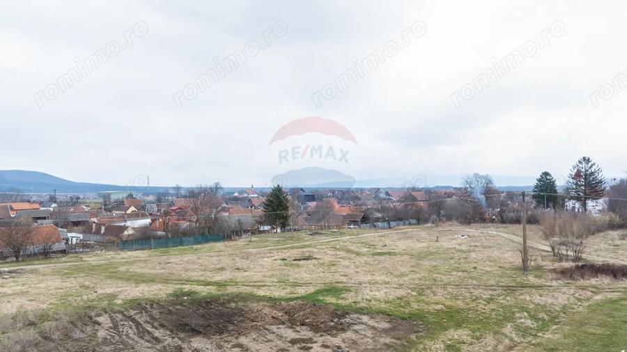 Teren de 9979 mp, în Crizbav