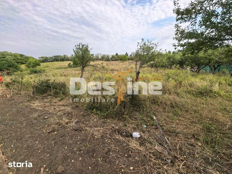 Teren intravilan 2170 mp la drum asfaltat - Chicerea - 2