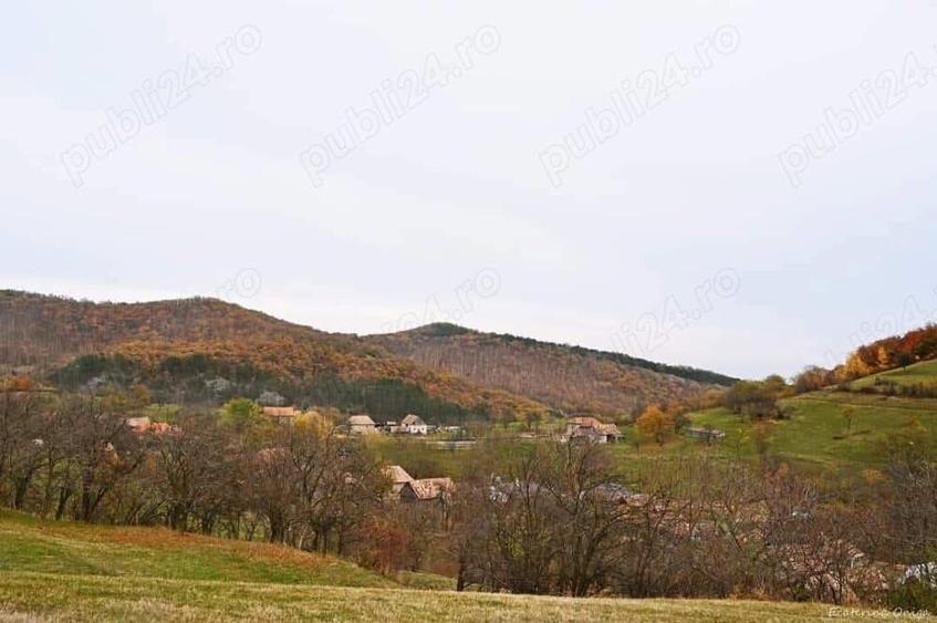 Proprietar, vand teren Alba - 1
