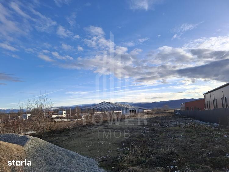 Teren de 3100 mp, în Cristian