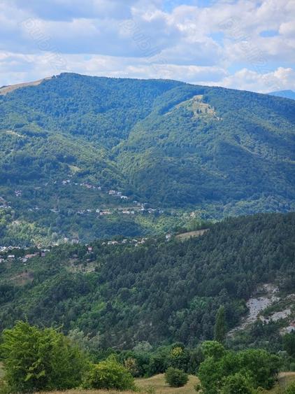 Teren în Central