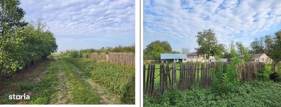 Casă cu 3 camere în Câmpeni