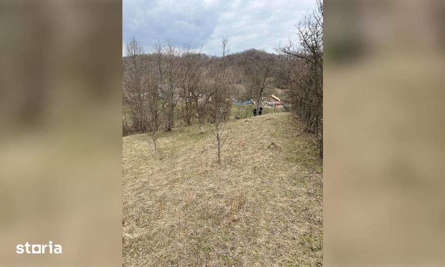 Teren de 3300 mp, în Sălătrucel