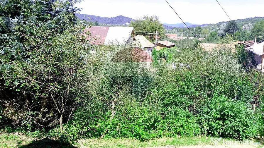 Casă cu 4 camere cu Teren 6676 Mp în Provița de Sus
