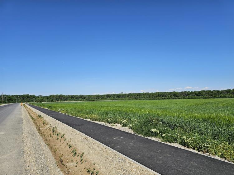 Teren Construcții intravilan de 35000 mp, în Bălteni