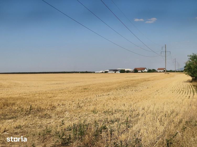 Teren de 7915 mp, în Vladimirescu