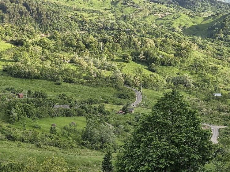 Casă cu Teren 2500 Mp în Poiana Pletari