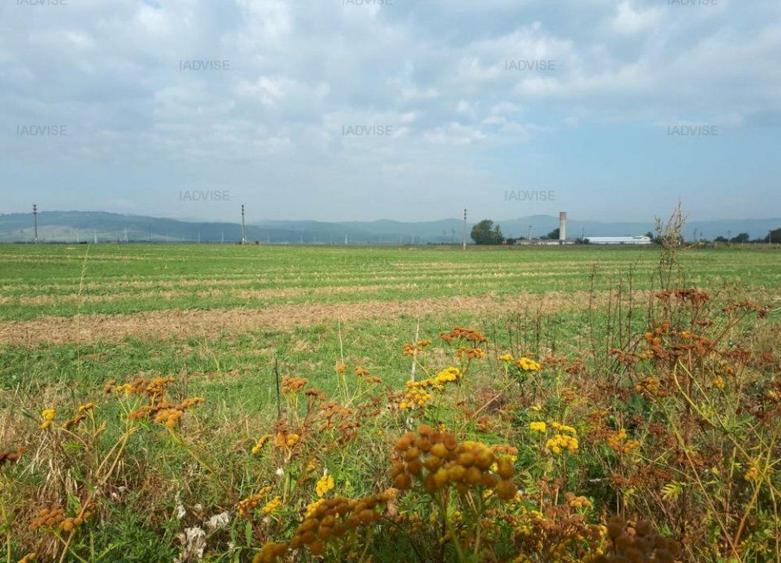 Teren Construcții intravilan de 40000 mp, în Central