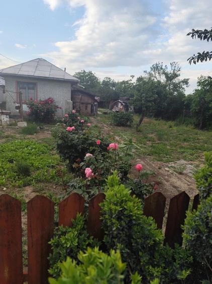 Teren în Valea Ursoii