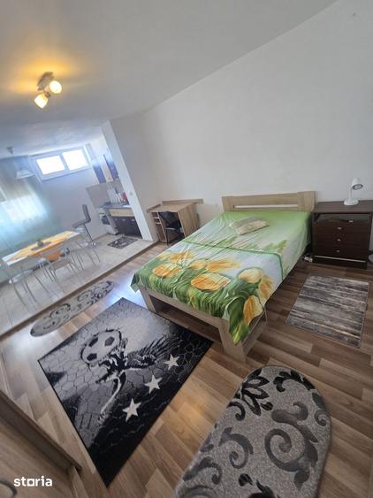 Apartament 1 camera strada Bucegi Cartierul Mana?tur - 5