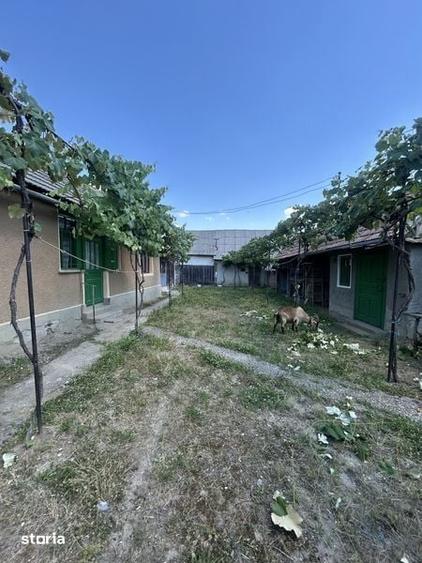 Casă cu 3 camere cu Teren 80 Mp în Boghiș