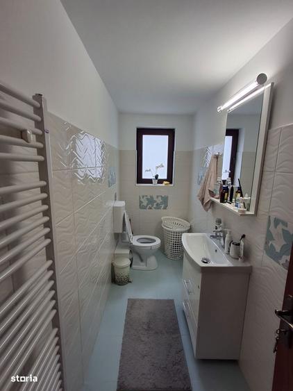 Casa Rustica intr-o zona superba Dambul Morii - 17