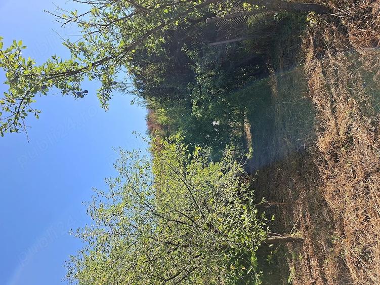 Casă cu Teren 400 Mp în Cladova